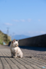 あったか日差し