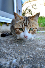 狙ってるんだから