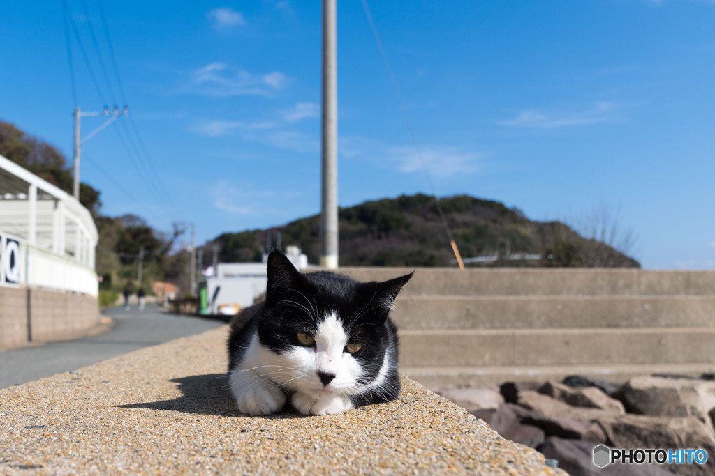 考え事