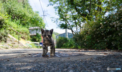 寝起きのおチビさん 寝起きのおチビさん