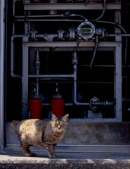 火気厳禁でお願いします
