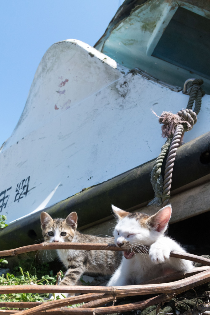 かてえな～