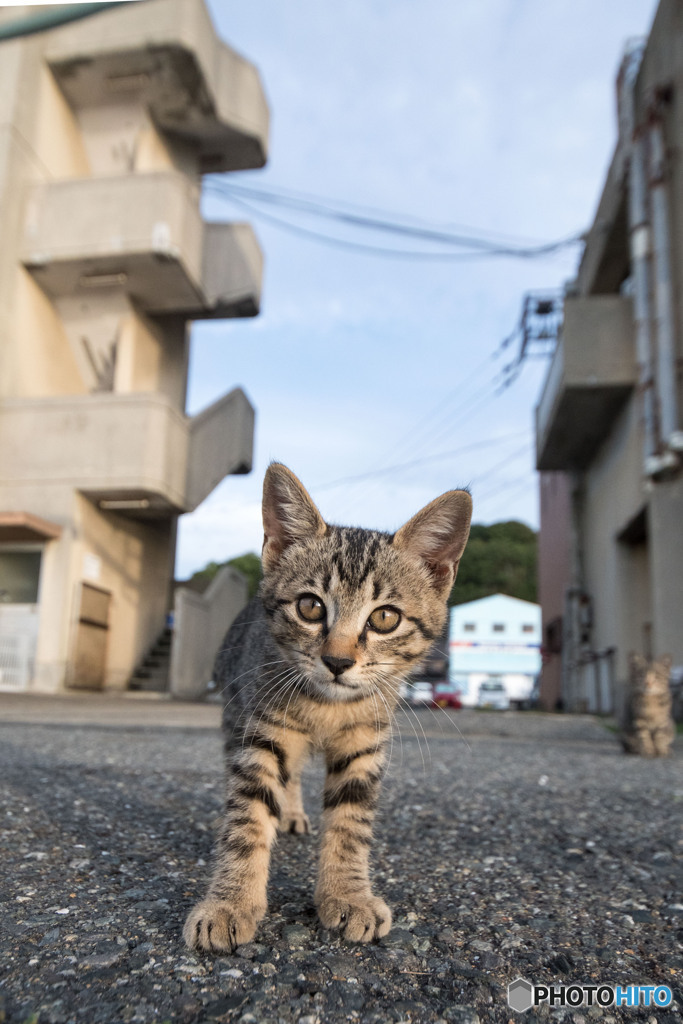おじさん、何持ってるのかニャ？