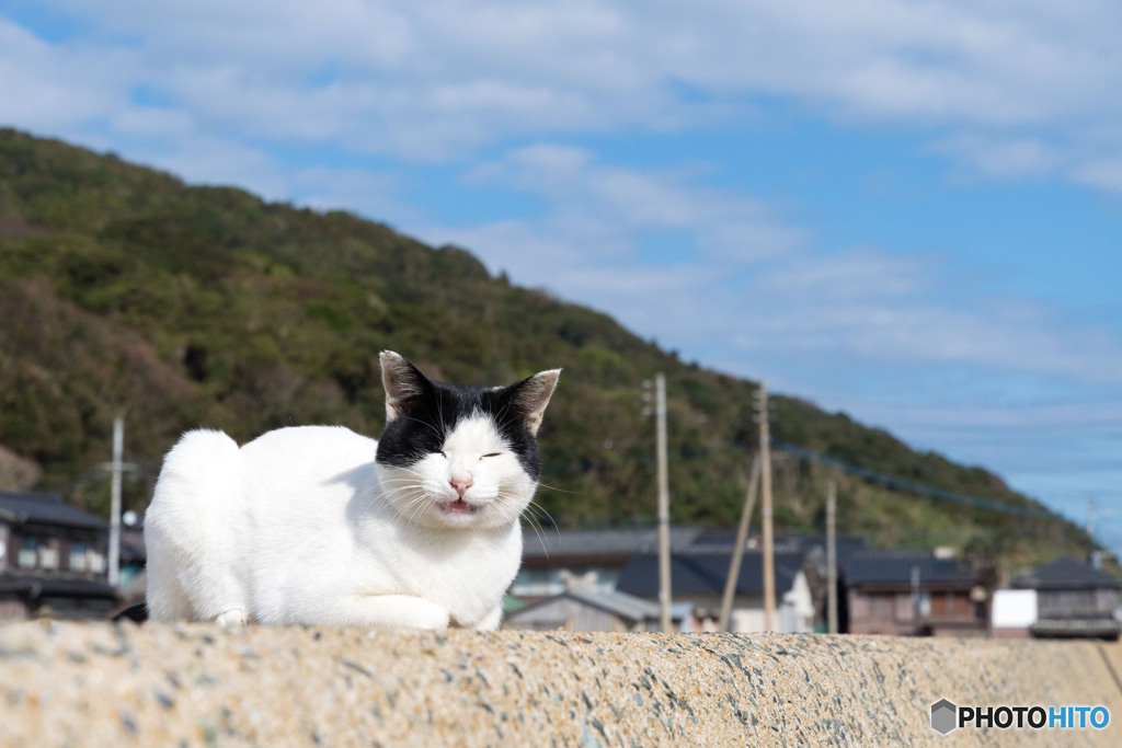 丸くて優しげで。癒し系のはっちゃん。