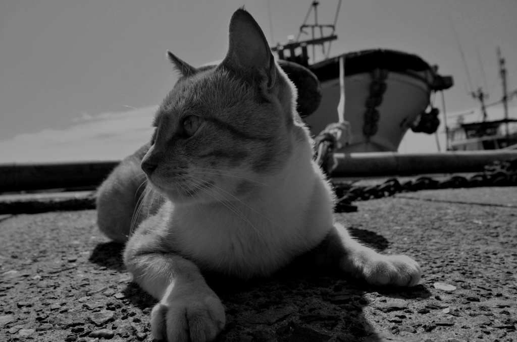 カメラの前に居座られました(^^ゞ