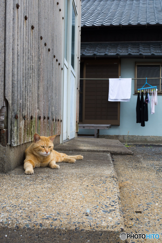 日常