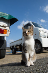 にゃにゃ