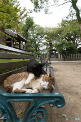 ベンチでイチャイチャする。いいな～。