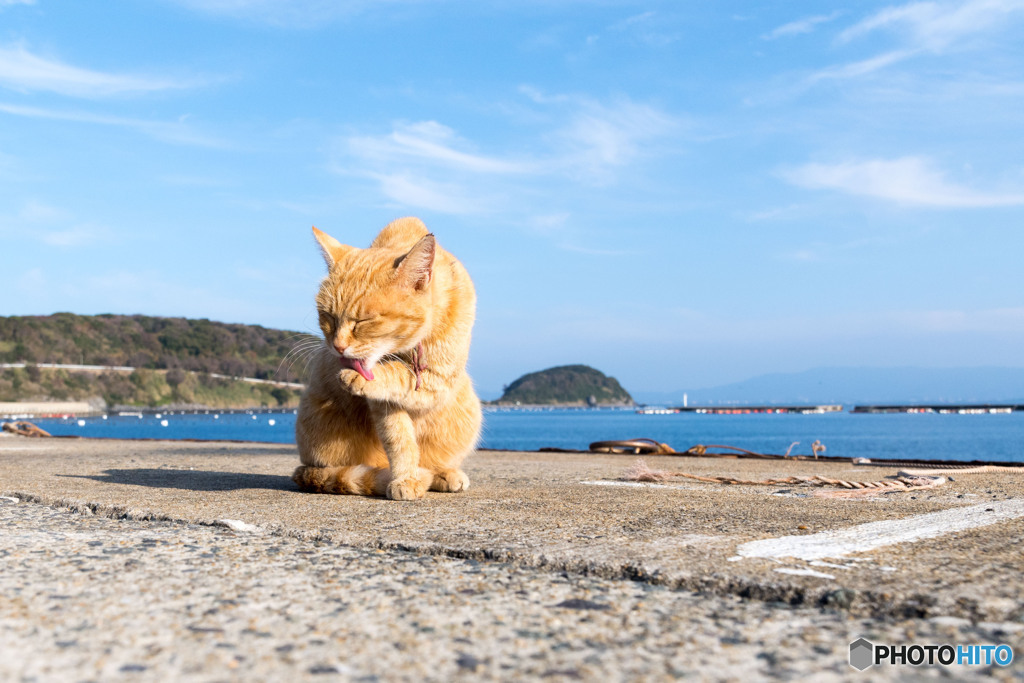 忙しない年の瀬