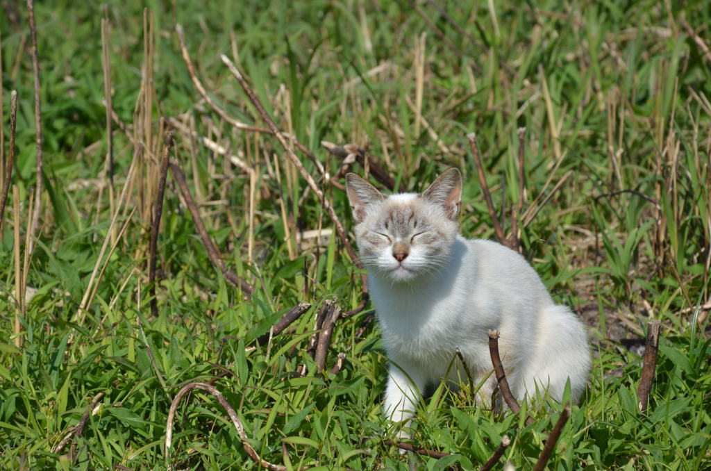 DSC_0739