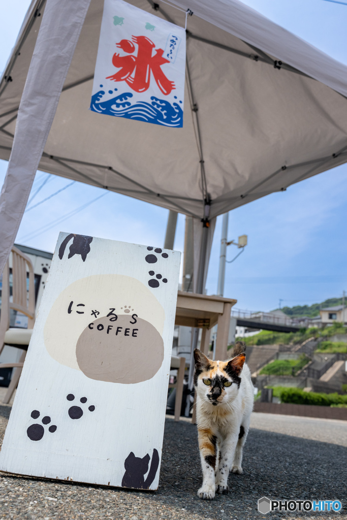 にゃるずコーヒーにいらっしゃい