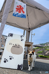 にゃるずコーヒーにいらっしゃい