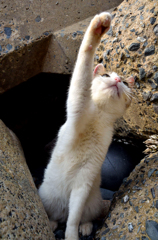 元気にエイッ！