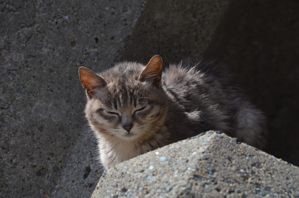DSC_1808