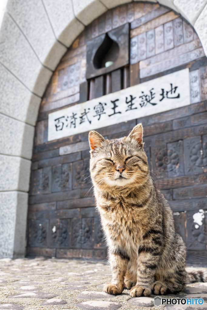 にっこりとね