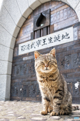 にっこりとね