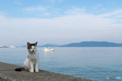 さわやかなお天気
