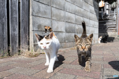 お見送りしてくれて、ありがと