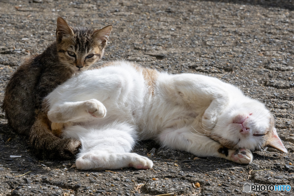 お父ちゃん、○○玉見えてるかも