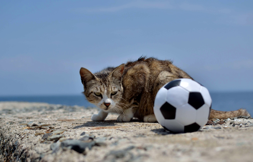 そろそろキックオフ・・・