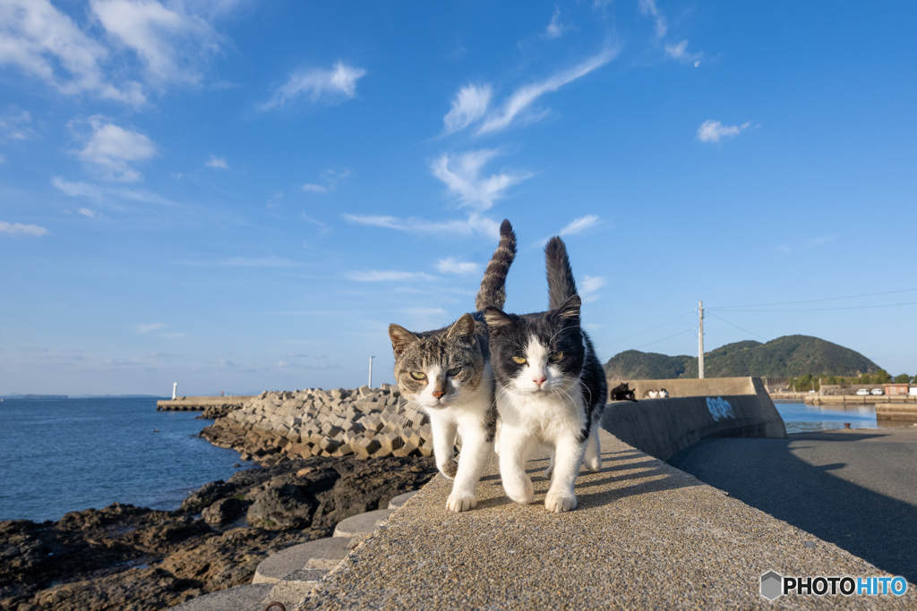 お～。突っ込んで来る～～・しかもダブルで。