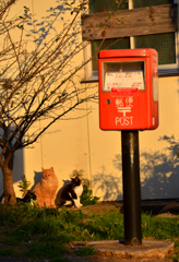 郵便屋さんを待っている