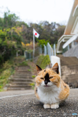 んふ～