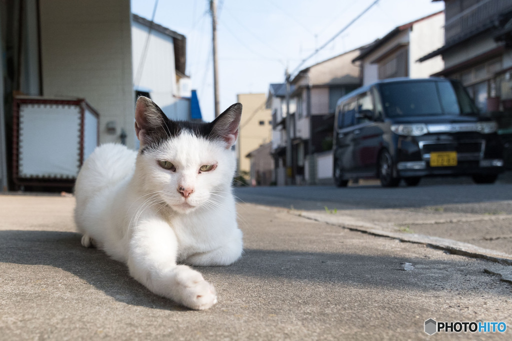 手、貸してあげる