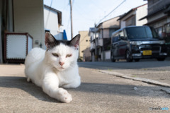 手、貸してあげる