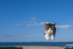 よいしょっとね