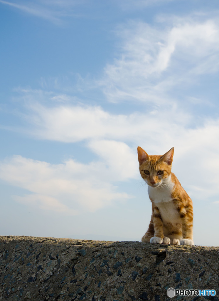 青空の下で...くねッと