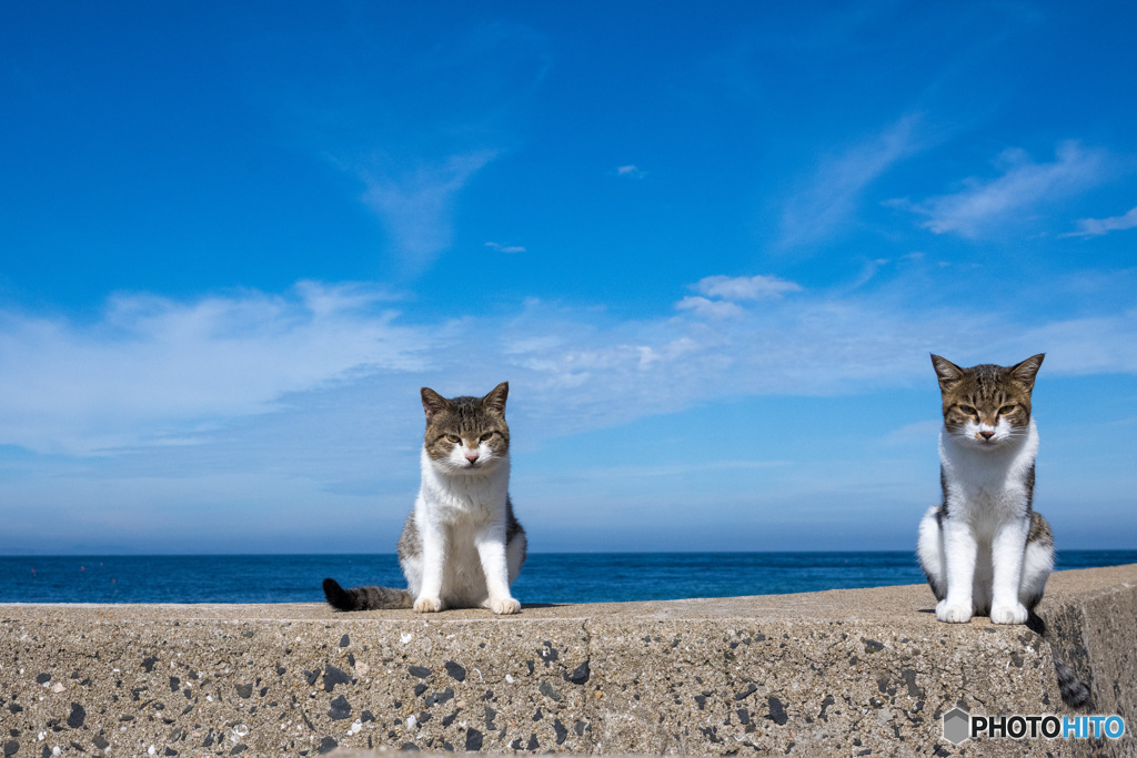 ひらりとね。9月の空。（1）