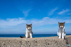 ひらりとね。9月の空。（1）