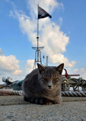 冷たい風が吹いた