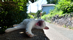 ふああぁぁぁーーーー