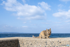 少しフレンドリーになってた