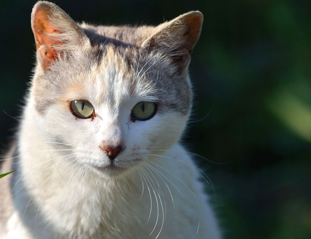 気合十分ですよ