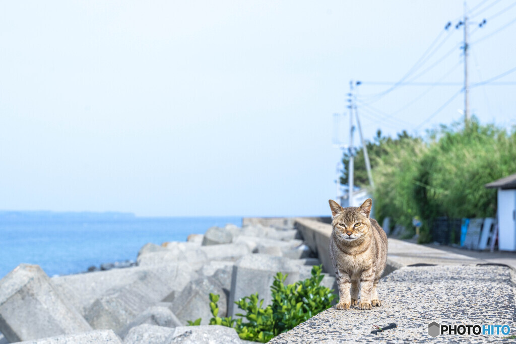お迎えありがと