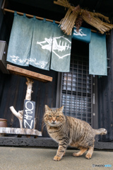 お寿司屋さん