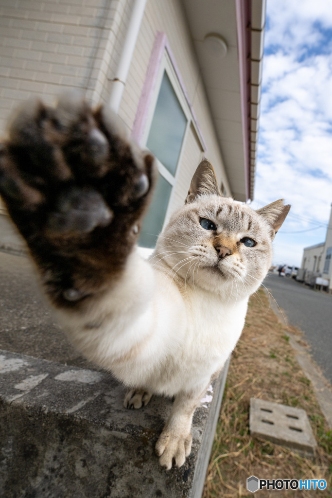 おりゃ！！