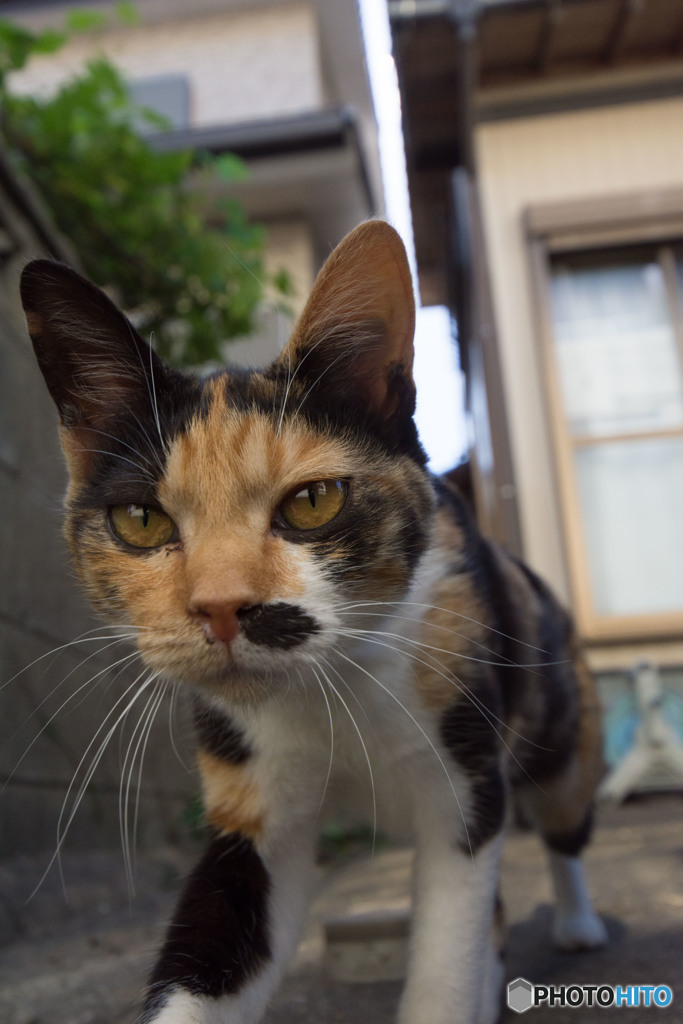 ぬん！