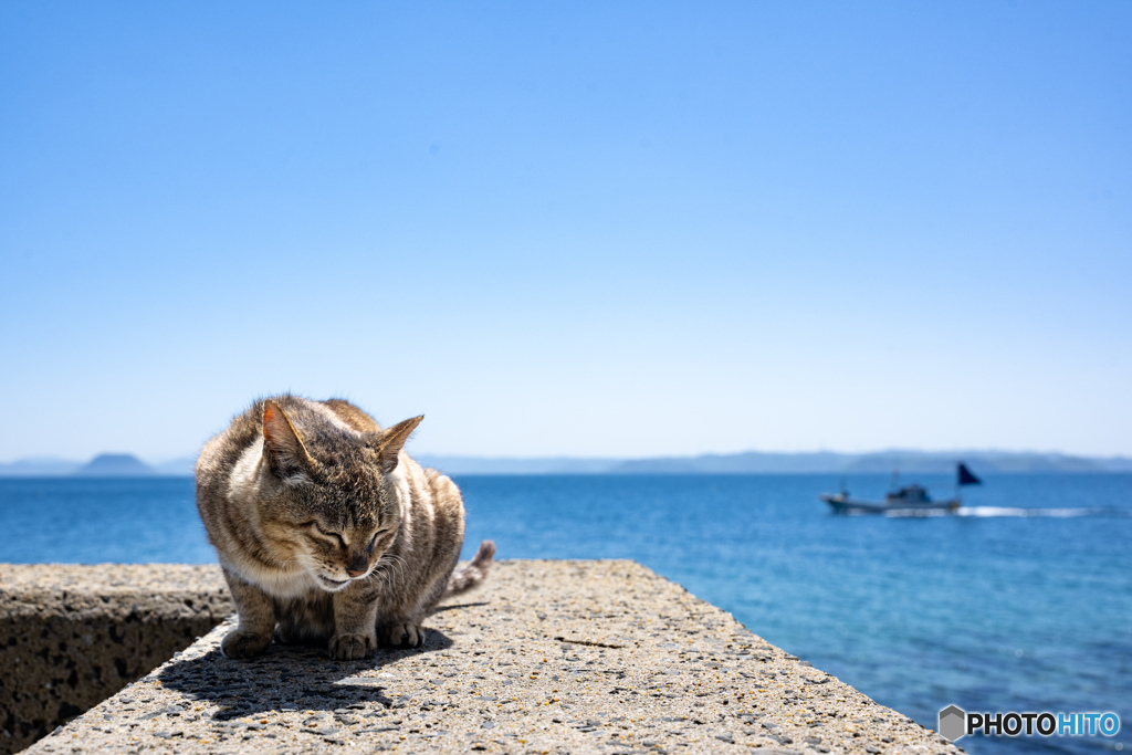 うとうと海岸