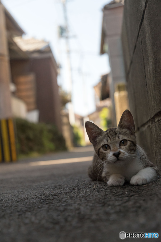 朝。路地裏で（2）