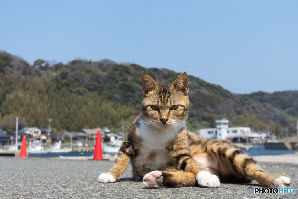 港のにいちゃん