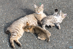 かわいく撮ってね