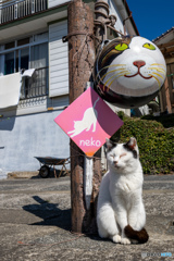 ほほほ