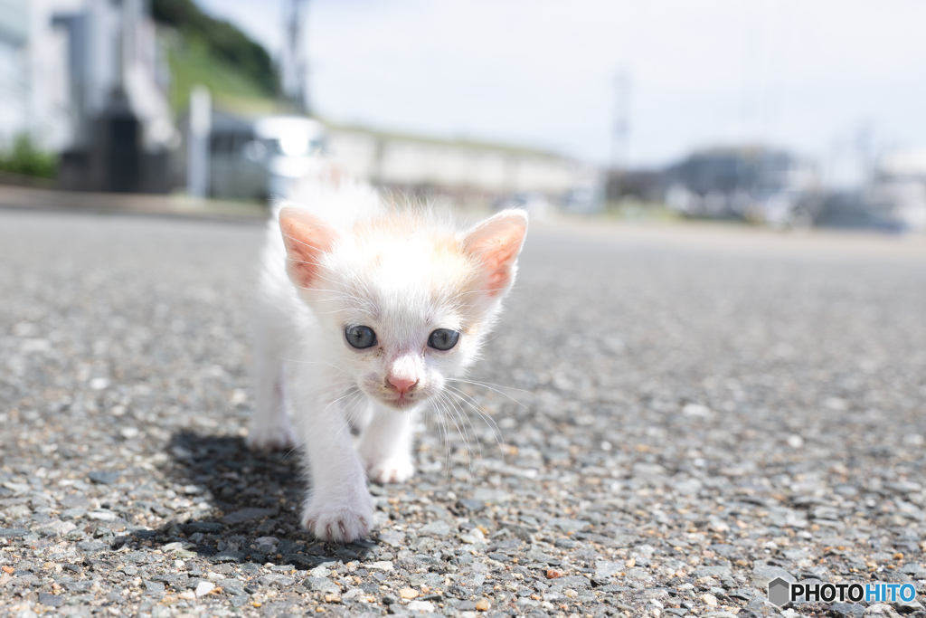 よいしょ