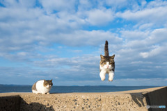 師走の飛行隊（1）