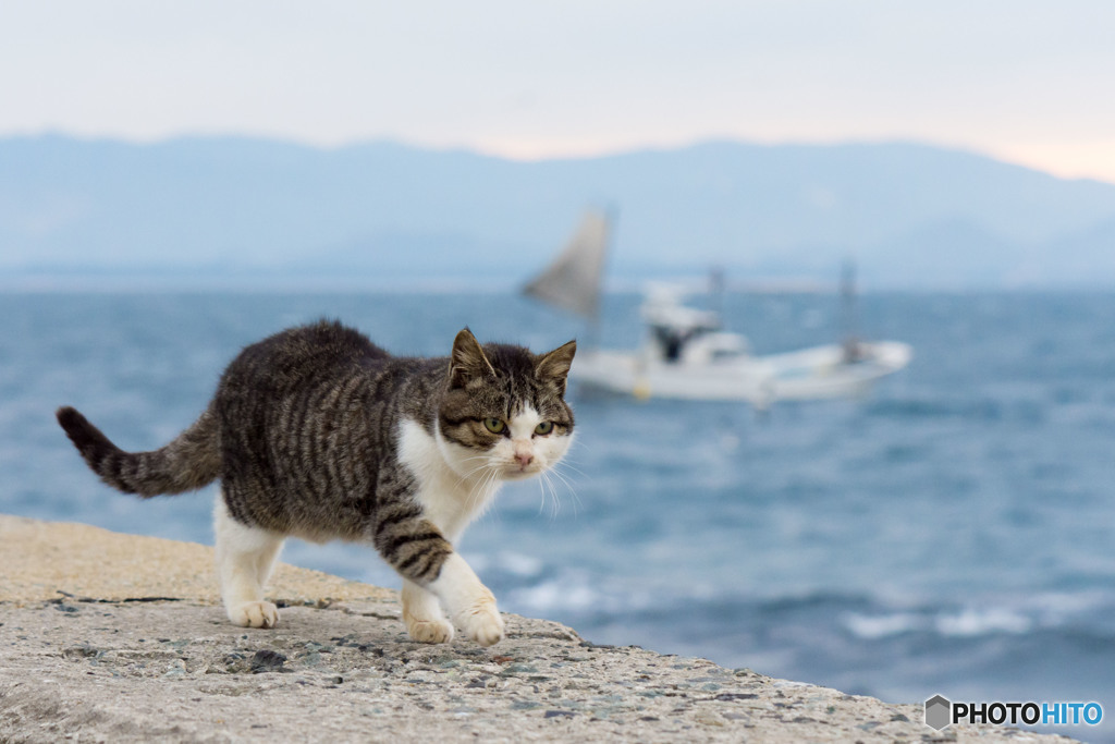 歩こう歩こう