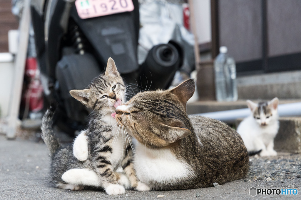 むぎゅ～